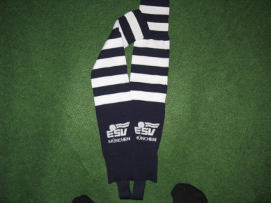 Schul- Vereins - Logostutzen ab 70 Paar